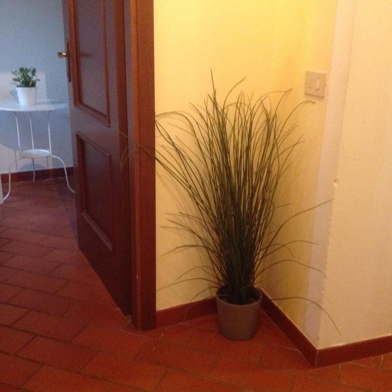 Tuscany House Centro Citta Apartment Pisa Bagian luar foto
